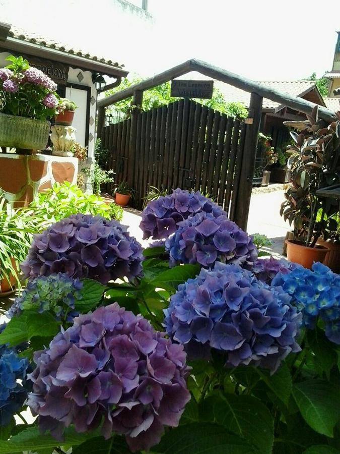 Cabanas Valle Verde Moya  Ngoại thất bức ảnh